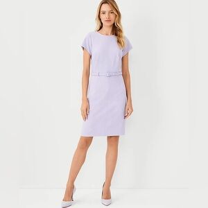 NWT Ann Taylor Lilac Lavender Belted Sheath Belted Dress Size 14